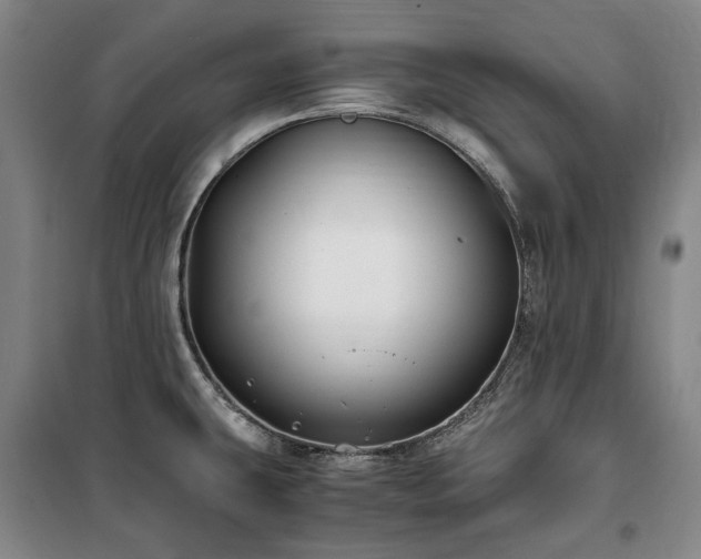 X0000100381431200806061208