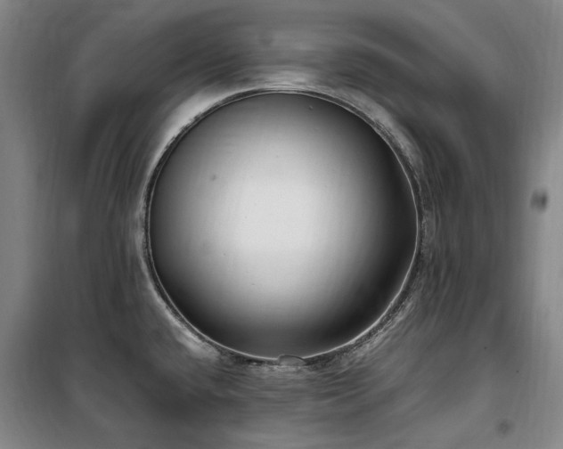 X0000100381432200806061208