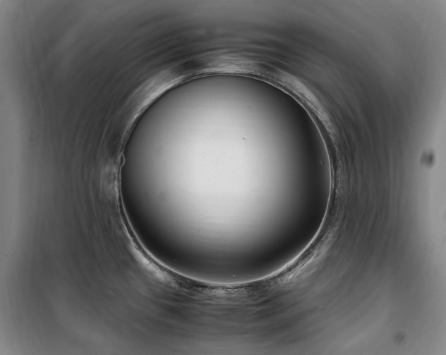 X0000100381433200806061208