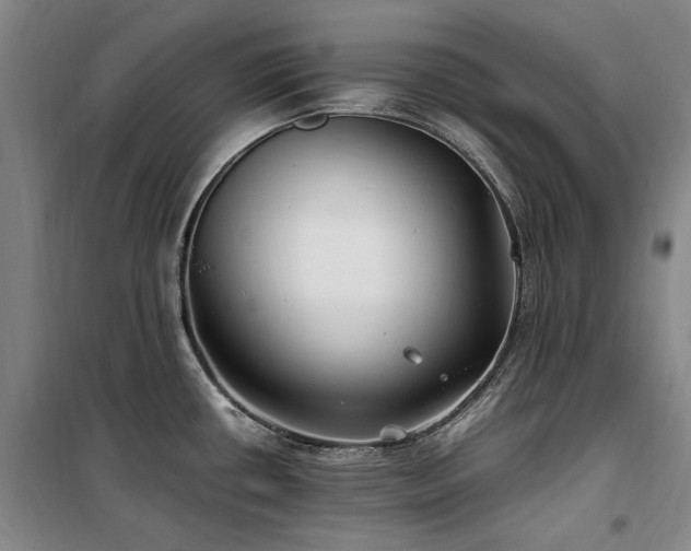 X0000100381434200806061208