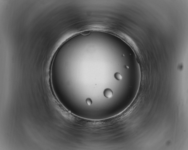 X0000100381435200806061208
