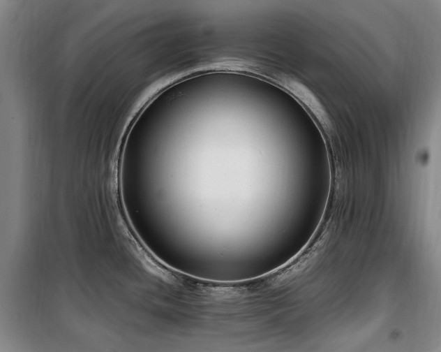 X0000100381436200806061208