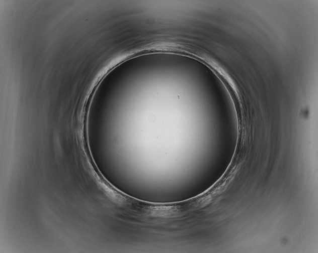X0000100381437200806061208