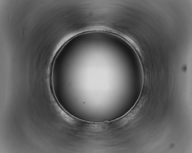 X0000100381438200806061208
