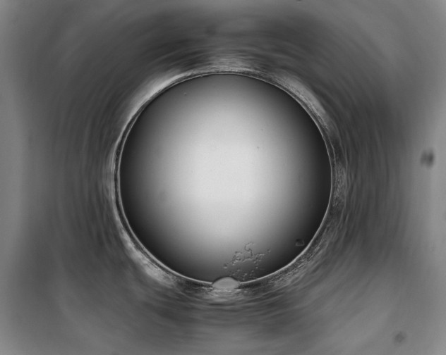 X0000100381439200806061208