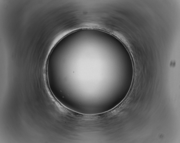 X0000100381440200806061208