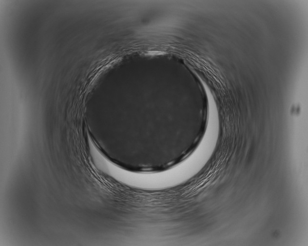 X0000100381441200806061207