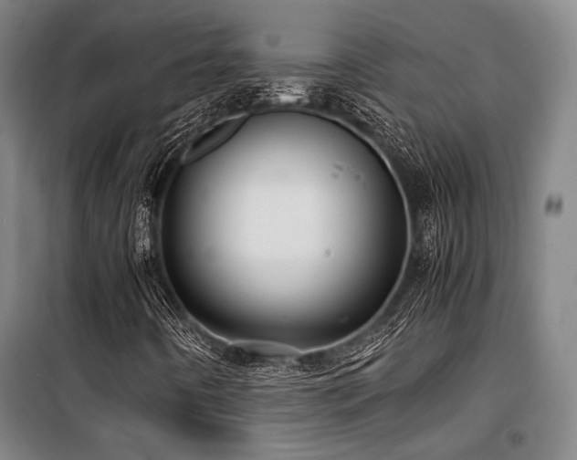 X0000100381442200806061207