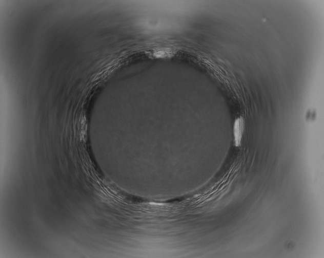 X0000100381443200806061207