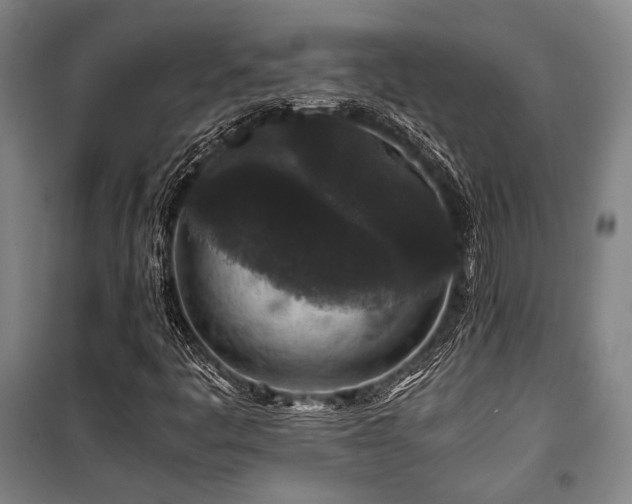 X0000100381445200806061207