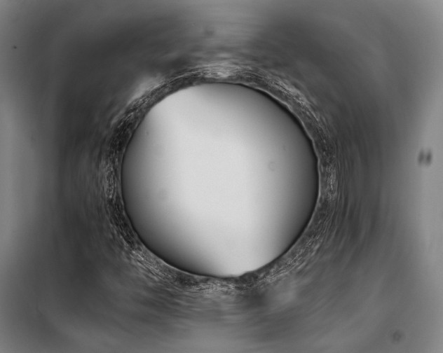 X0000100381446200806061207