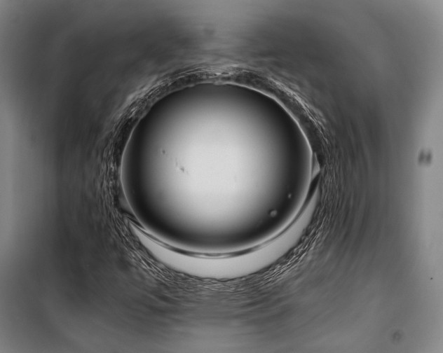 X0000100381447200806061207