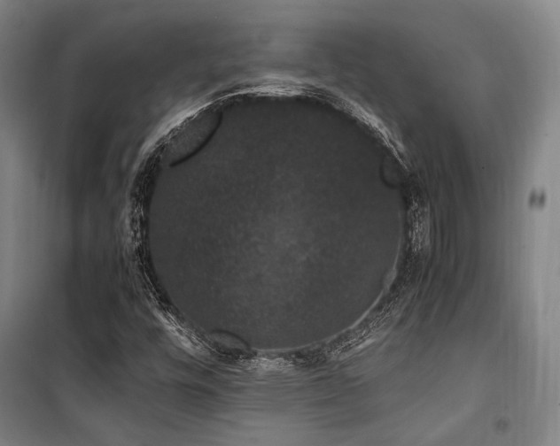 X0000100381448200806061207
