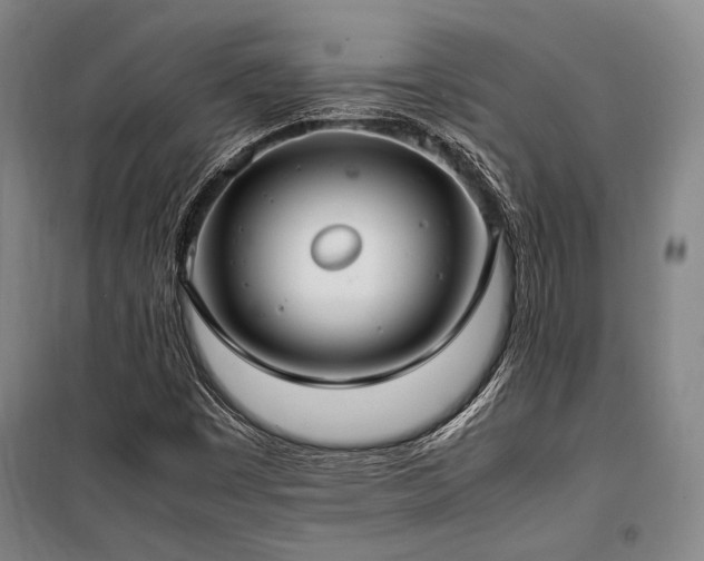 X0000100381449200806061207