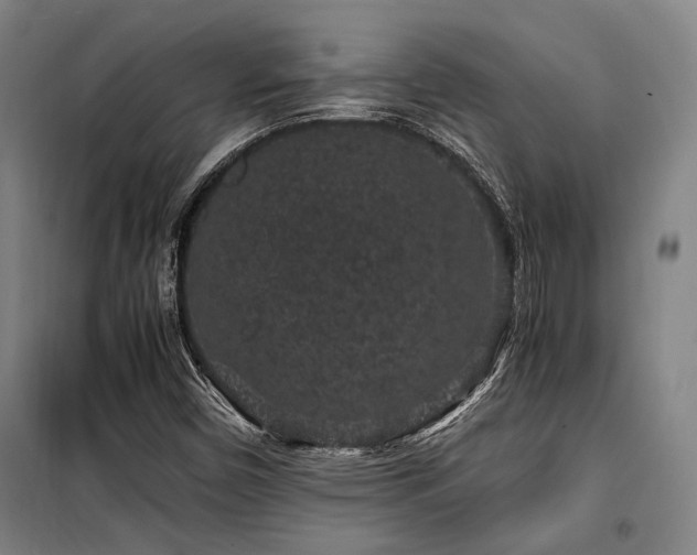 X0000100381450200806061207