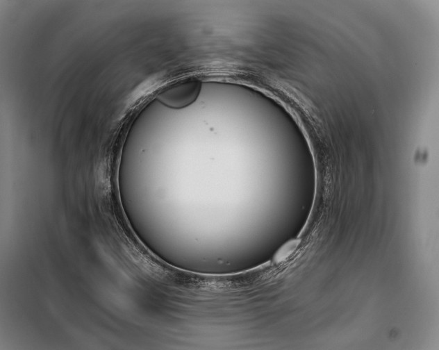X0000100381451200806061207