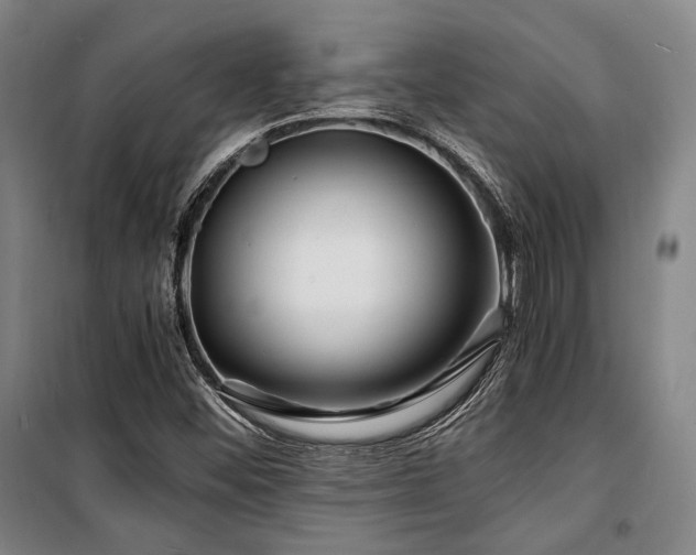 X0000100381452200806061207