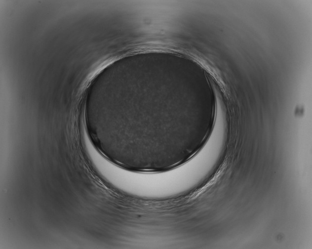 X0000100381453200806061207