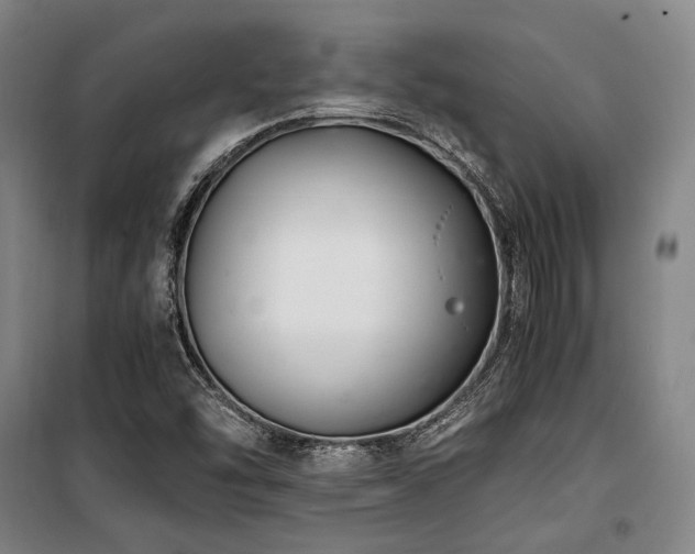 X0000100381454200806061207