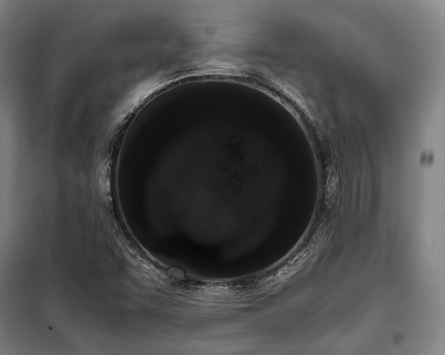 X0000100381455200806061207