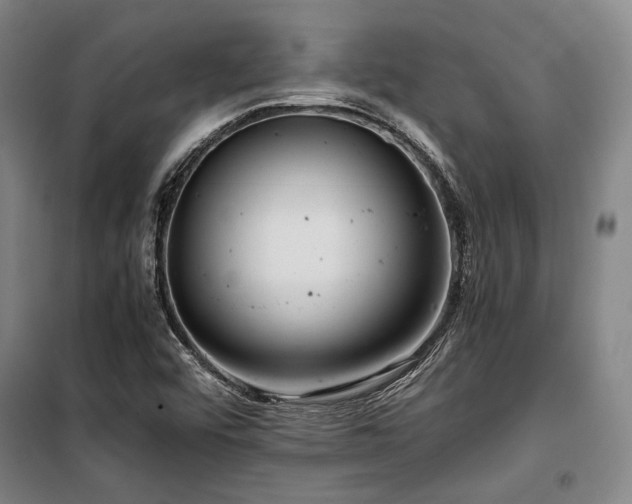 X0000100381456200806061207