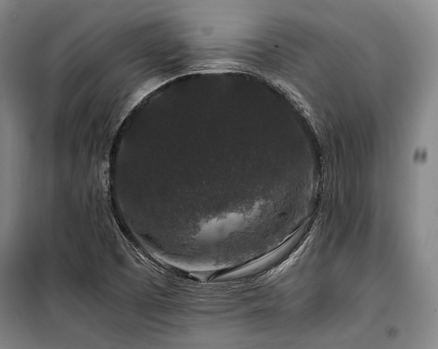 X0000100381457200806061207