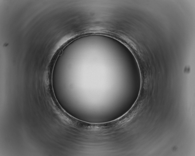 X0000100381458200806061207