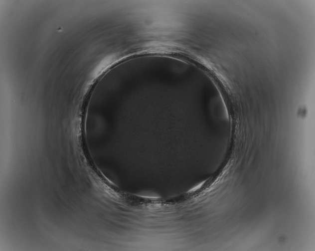 X0000100381459200806061207