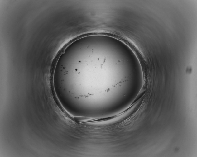 X0000100381460200806061207