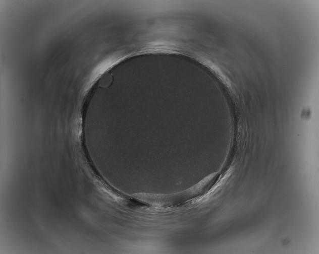X0000100381461200806061207