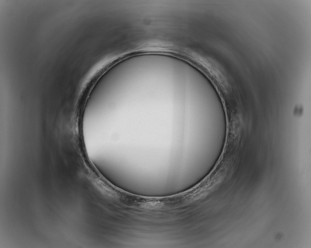 X0000100381462200806061207