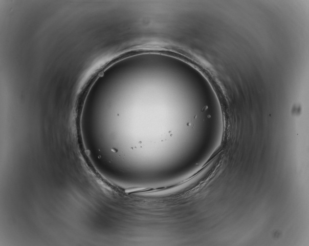 X0000100381464200806061207