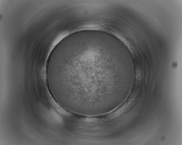 X0000100381466200806061207