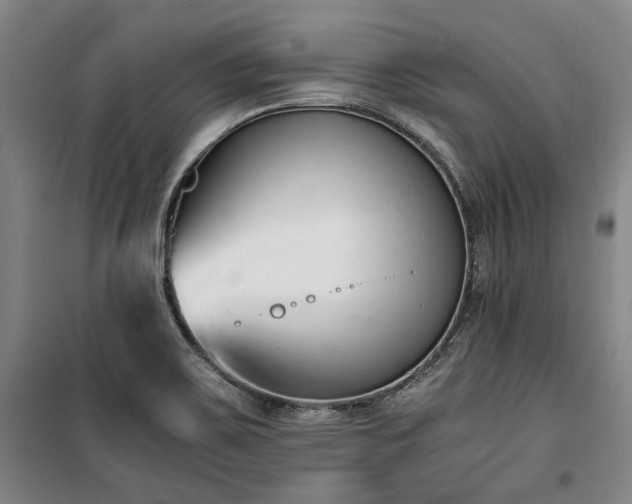 X0000100381467200806061207