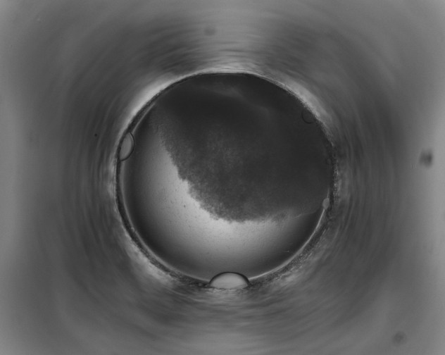 X0000100381468200806061207