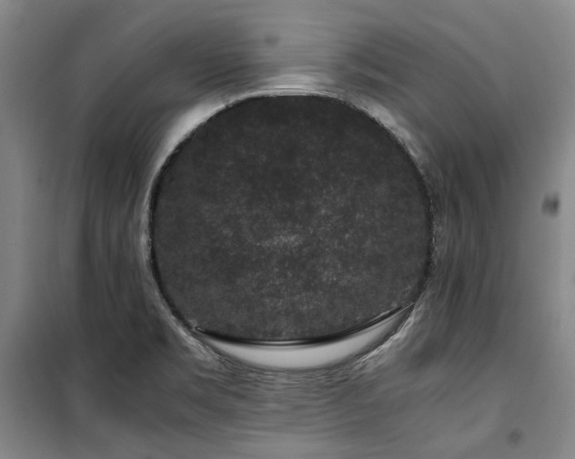 X0000100381469200806061207
