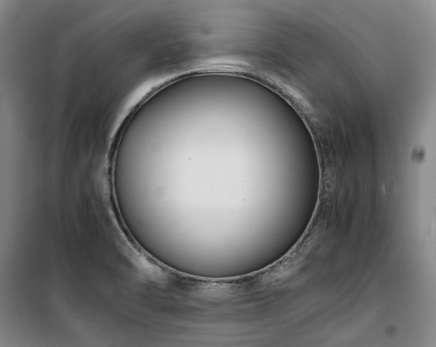 X0000100381470200806061207