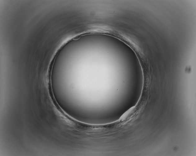 X0000100381471200806061207