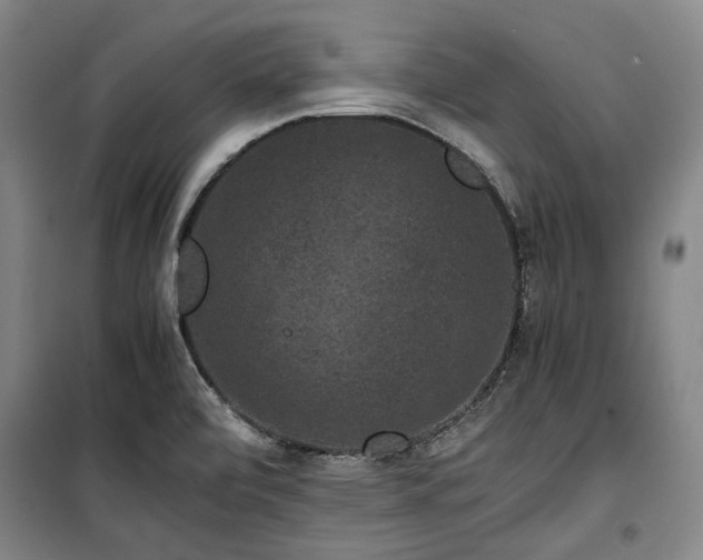 X0000100381472200806061207