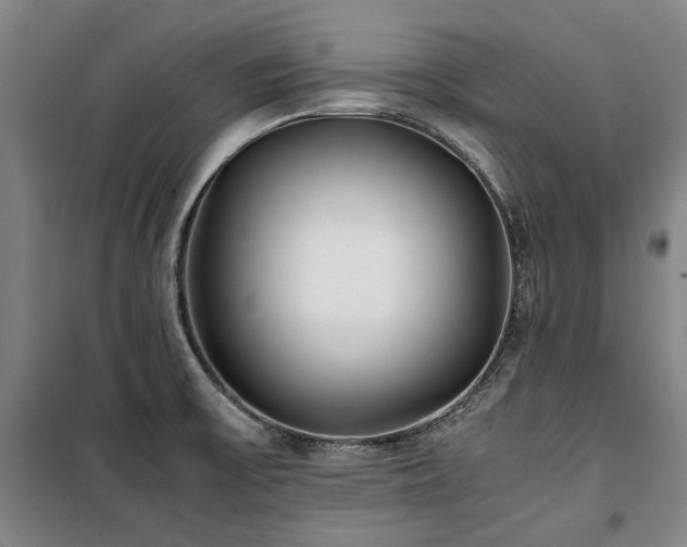 X0000100381475200806061207