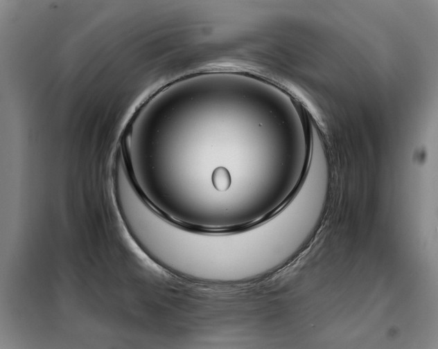 X0000100381476200806061207