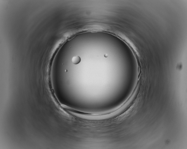 X0000100381477200806061207