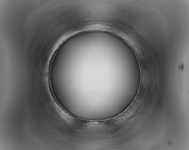 X0000100381478200806061207