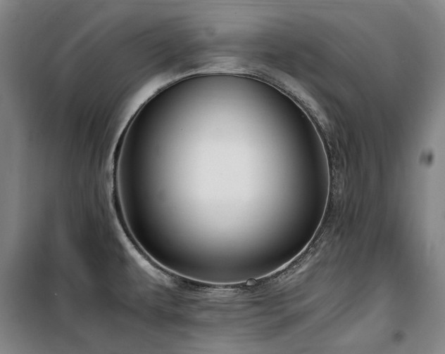 X0000100381479200806061207