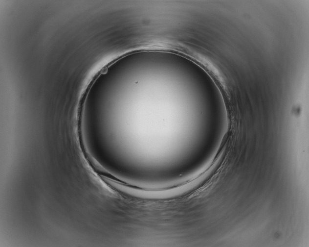 X0000100381480200806061207