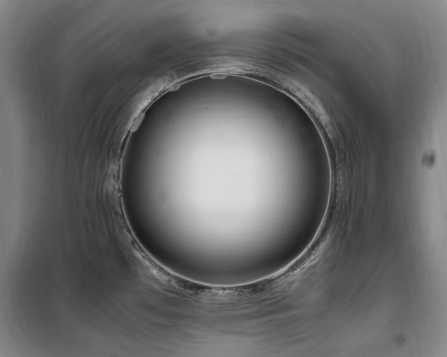 X0000100381481200806061207