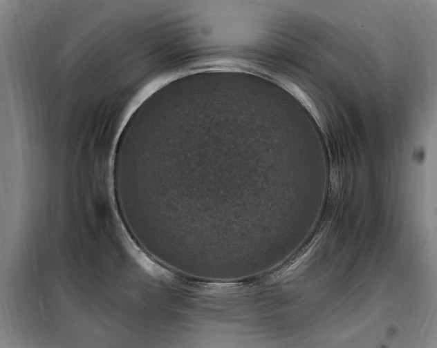 X0000100381482200806061207