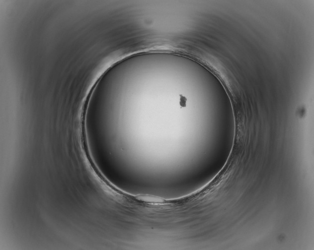 X0000100381483200806061207