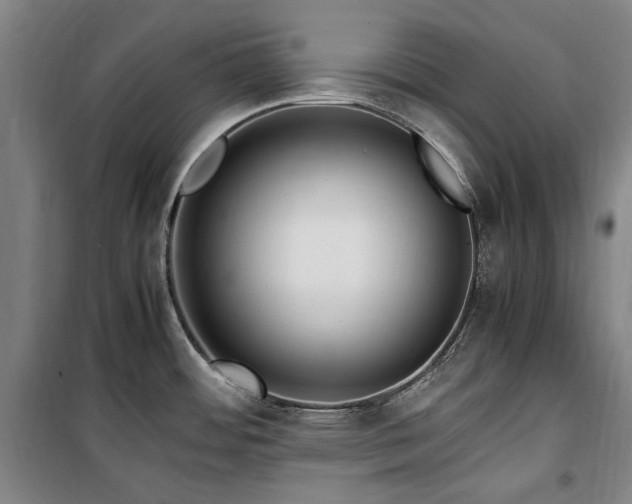 X0000100381484200806061207