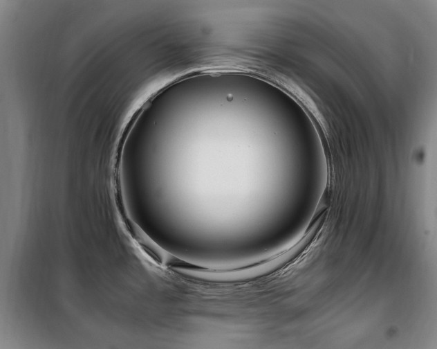 X0000100381485200806061207